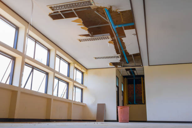 Best Professional water damage repair  in Plain City, OH