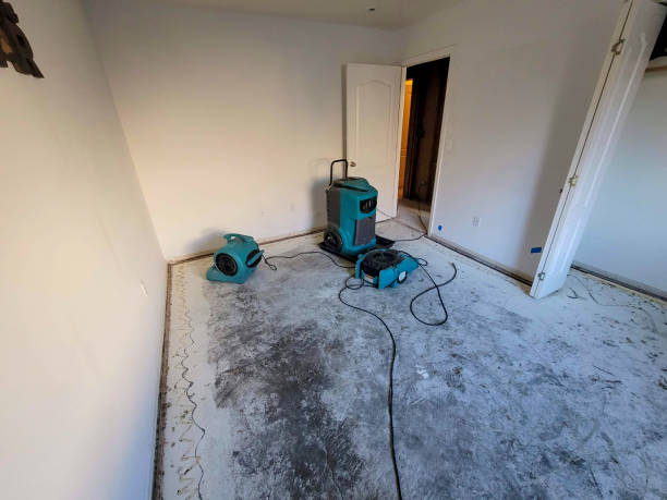 Best Emergency water extraction  in Plain City, OH