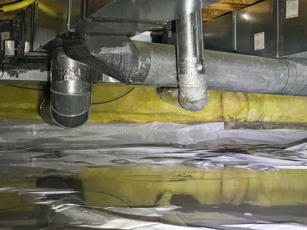 Best Flooded house restoration  in Plain City, OH
