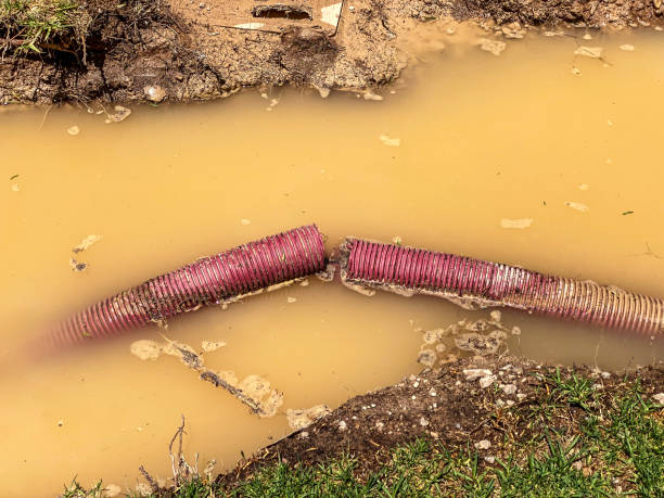 Best Carpet water damage restoration  in Plain City, OH